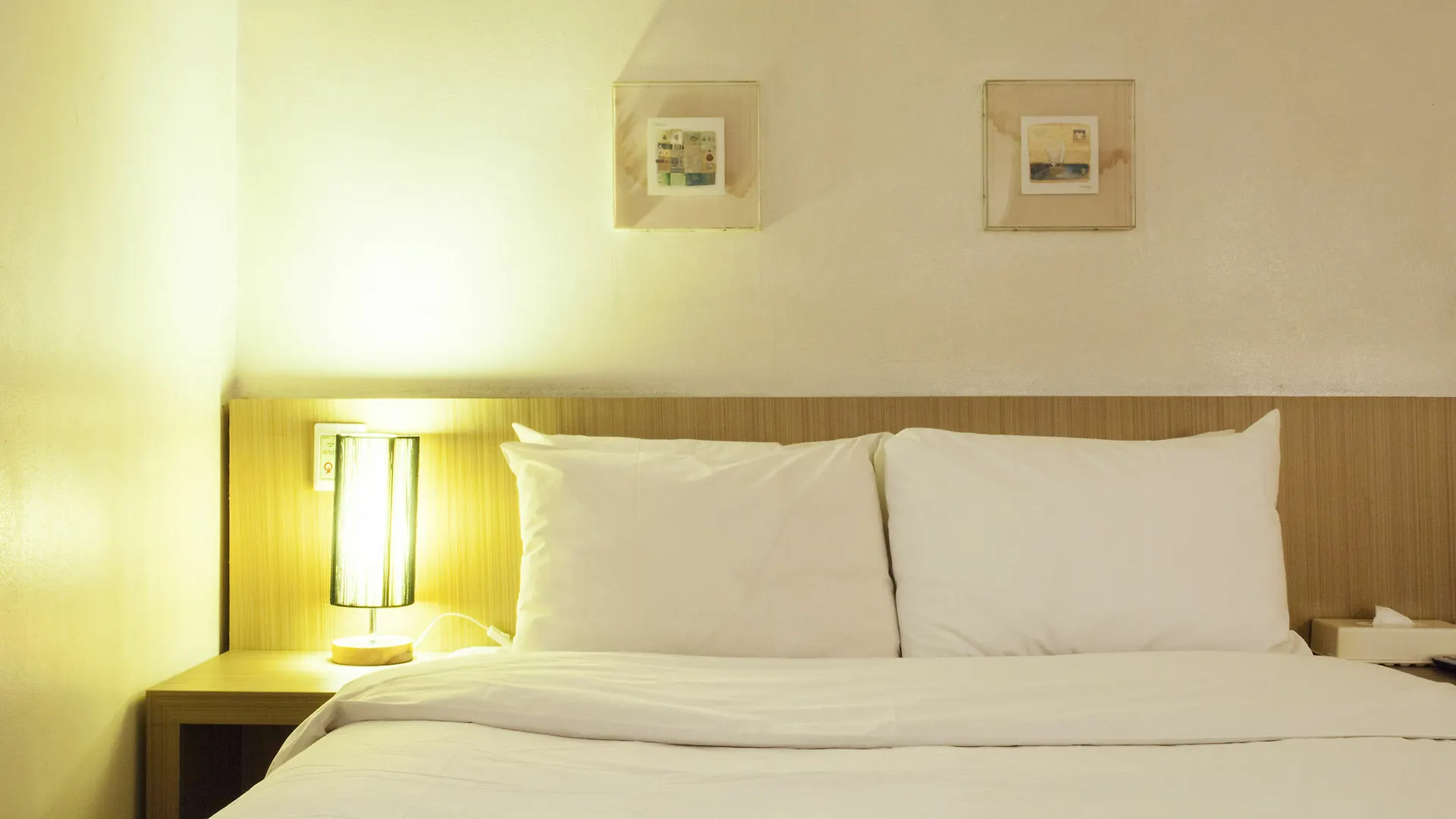 Ana Hotel Seoul